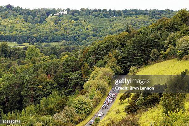 The peloton makes its way up Box Hill during the London-Surrey Cycle Classic road race at Box Hill on August 14, 2011 in Surrey, England.