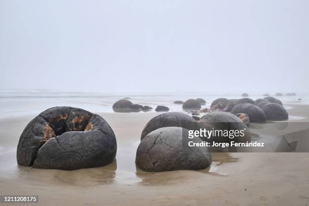 Strange rock formations created by the cementation of the Paleocene mudstone on Moeraki boulders beach at sunrise on a foggy day.