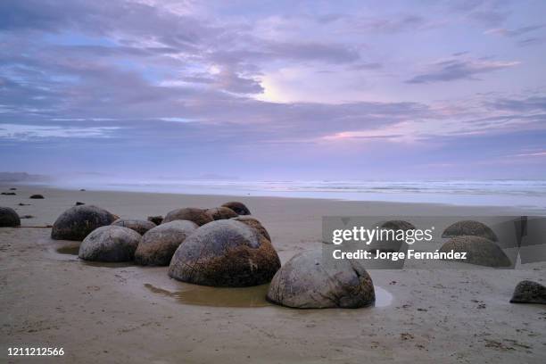 Strange rock formations created by the cementation of the Paleocene mudstone on Moeraki boulders beach at sunset on a cloudy day.