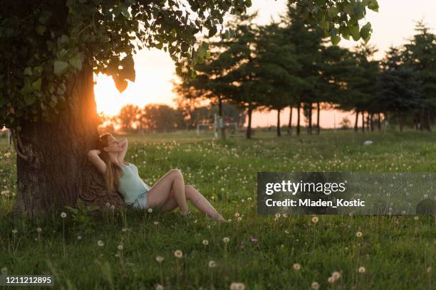 woman under tree in sunlight - relaxing under the tree stock pictures, royalty-free photos & images