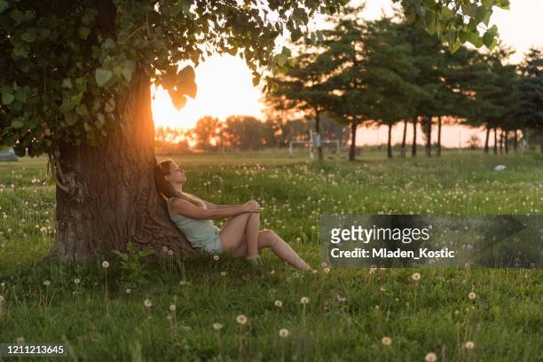 mujer joven disfrutando de la puesta de sol bajo el árbol - debajo de fotografías e imágenes de stock