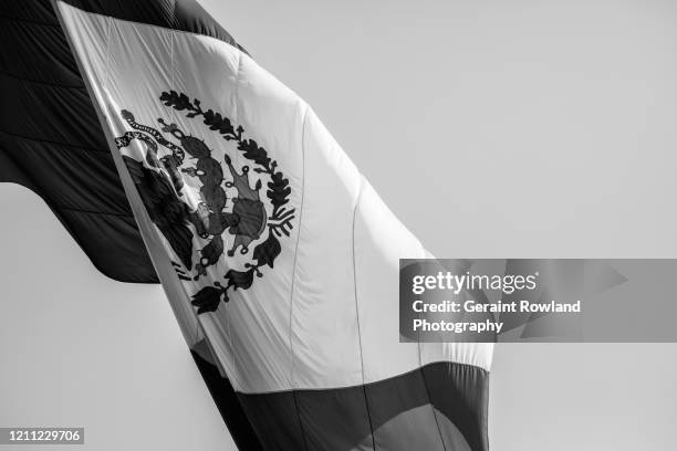 black and white flag of mexico - mexico black and white stock pictures, royalty-free photos & images