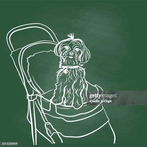 Elderly Pet Dog Chalkboard High-Res Vector Graphic