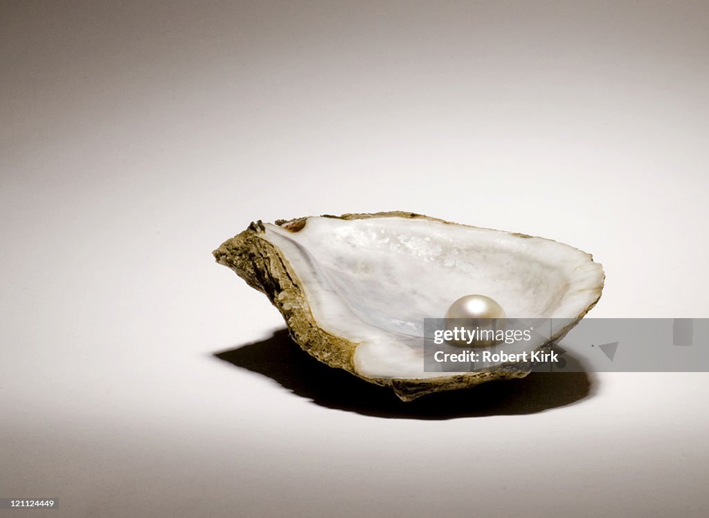 Singe pearl sitting in an oyster shell on a light background