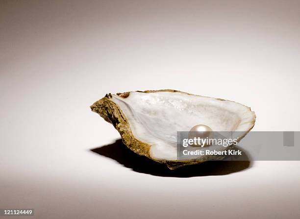 singe pearl sitting in an oyster shell on a light background - scarce stock pictures, royalty-free photos & images