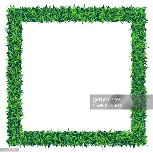 square empty grass and leaves frame on white background - grass edge stock illustrations