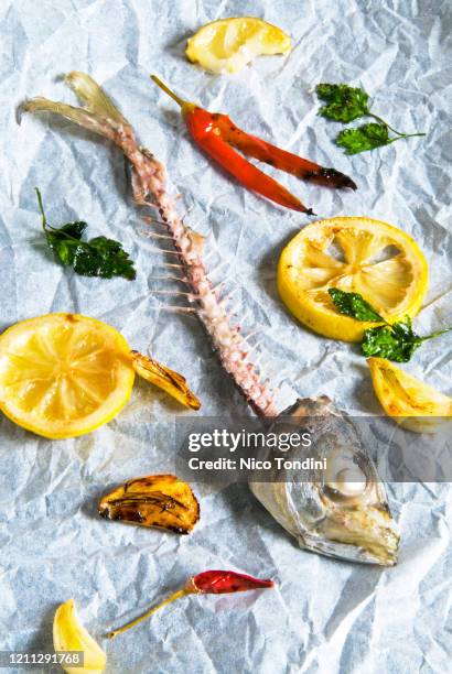 fishbone of atlantic horse mackerel (trachurus trachurus) - trachurus trachurus stock-fotos und bilder