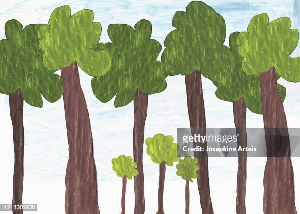 48 Reforestation Drawing High Res Illustrations - Getty Images