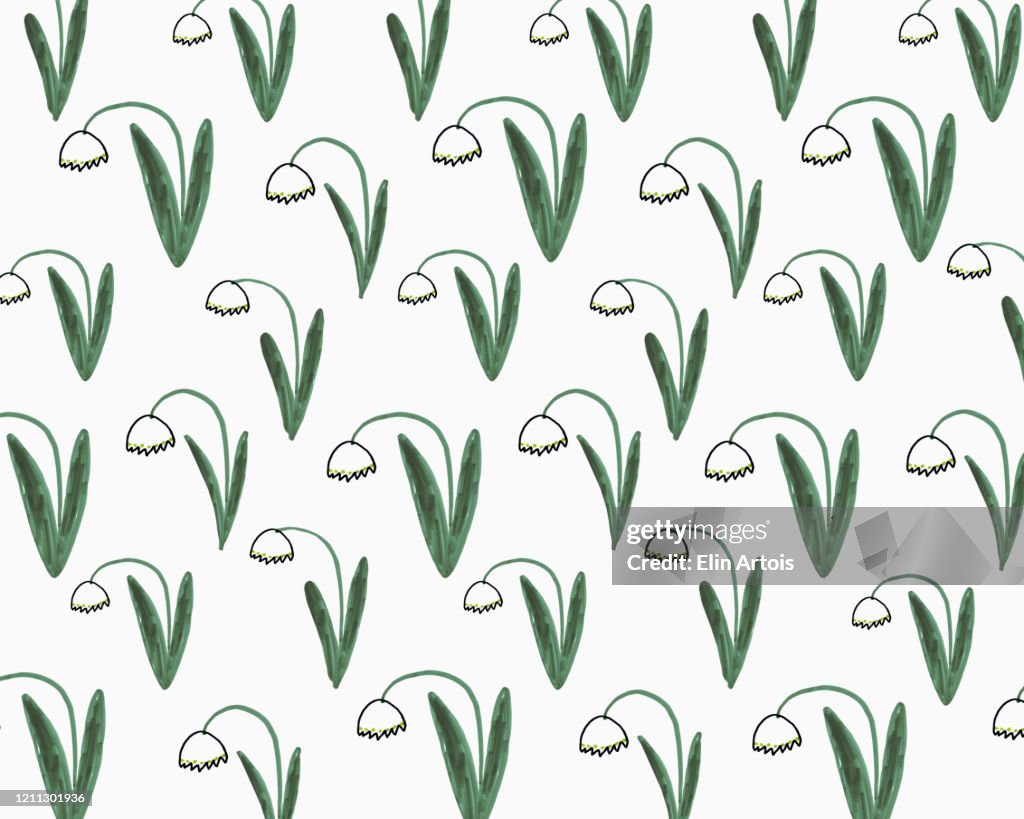 Illustration of daffodils on white background