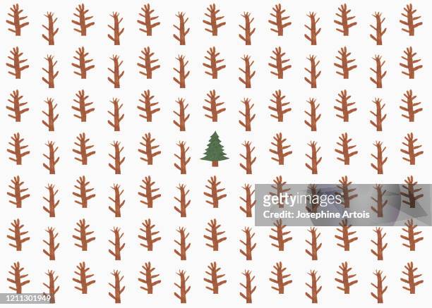 childs drawing of coniferous tree surrounded by saplings - coniferous stock illustrations