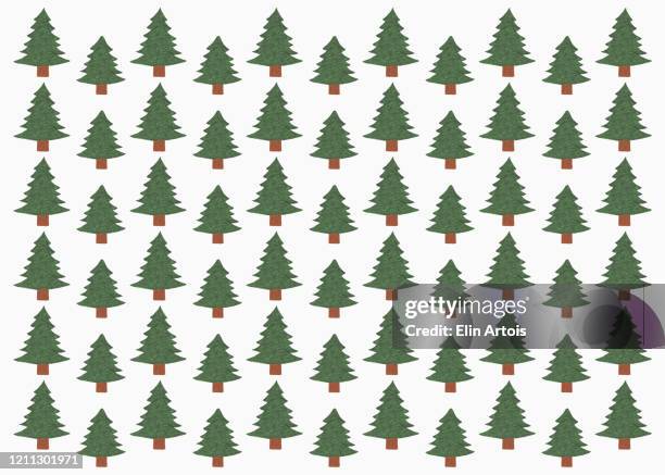 illustration of green coniferous forest - coniferous stock illustrations