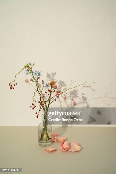 wilting flower arrangement in vase - wilted stock-fotos und bilder