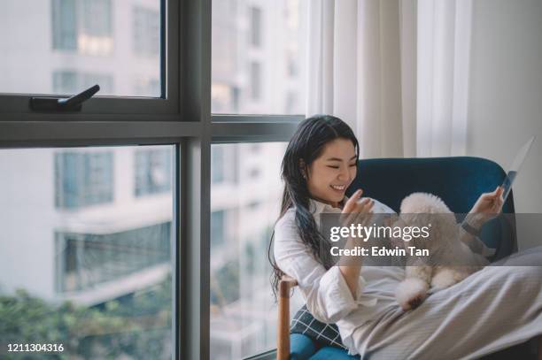 an asian chinese teenager girl with her toy poodle in the living room using digital tablet - girl on couch with dog stock pictures, royalty-free photos & images