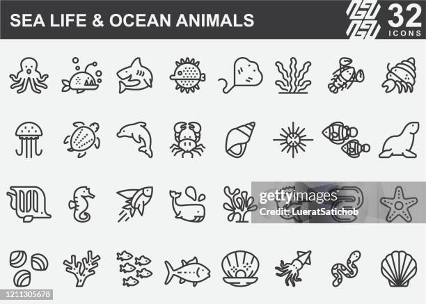 illustrazioni stock, clip art, cartoni animati e icone di tendenza di sea life e ocean animals line icons - shrimp animal