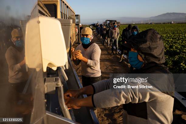 Farm laborers with Fresh Harvest wash their hands before work on April 28, 2020 in Greenfield, California. They practice social distancing, and...