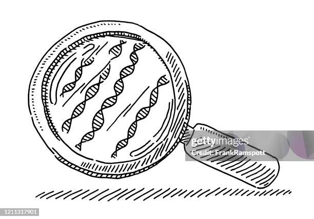 dna research magnifying glass drawing - looking through an object stock illustrations