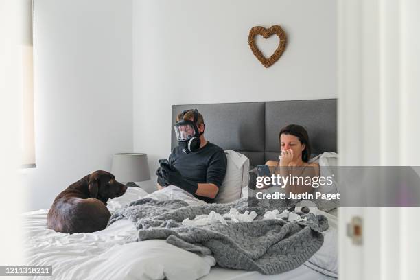couple in bed. wife has the flu. husband isn't taking any risks..! - animal call fotografías e imágenes de stock