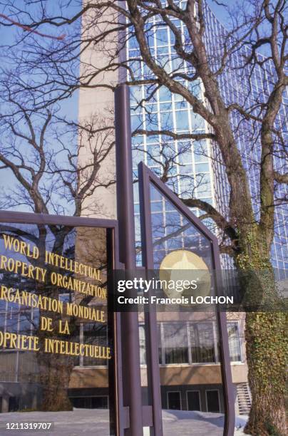 Organisation Mondiale De La Propri t Intellectuelle Photos And Premium organisation-mondiale-de-la-propri-t-intellectuelle-photos-and-premium