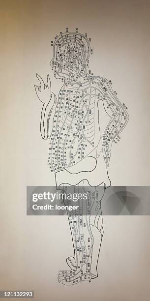 acupuncture and moxibustion chart -- side view - chinese herbal medicine stock pictures, royalty-free photos & images