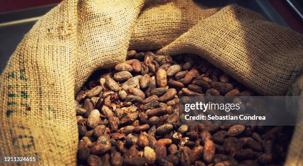 a low angle shot of high quality cocoa beans spilling out of a burlap bag. - cocoa beans foto e immagini stock