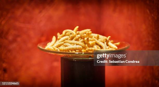 dry worms for a tasting, who's trying? - cloche stock pictures, royalty-free photos & images