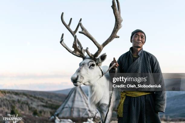 man shepherding reindeers  in mongolia in winter - independent mongolia stock pictures, royalty-free photos & images