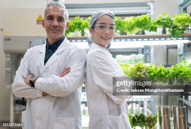 portrait of asian scientists in a greenhouse - portrait zwei männer wissenschaft stock-fotos und bilder