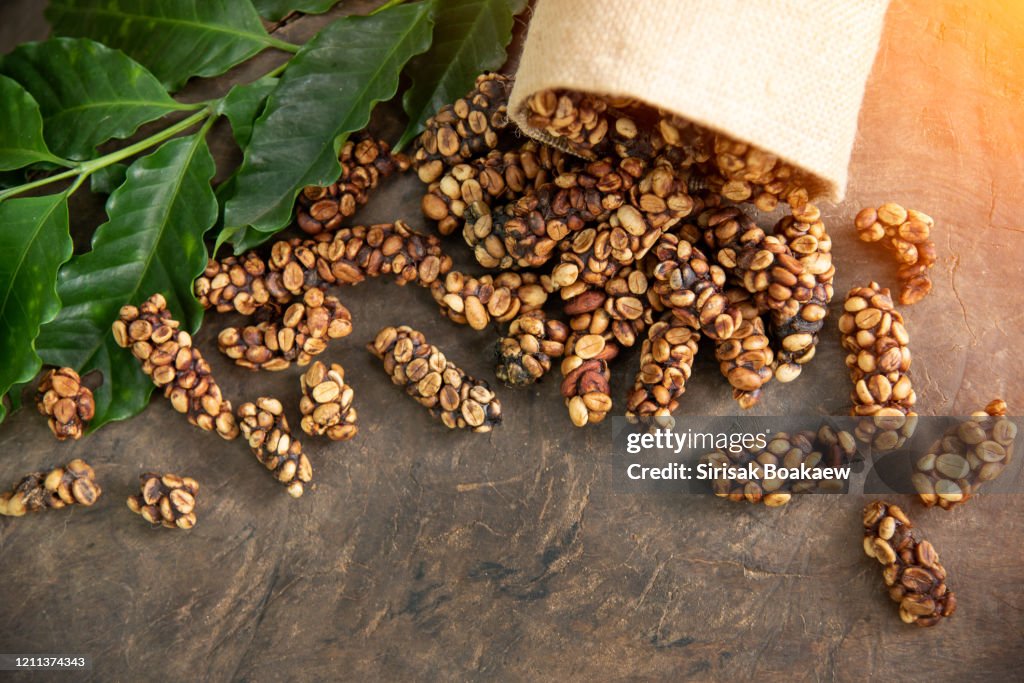 Musk coffee Selective focus Raw coffee beans