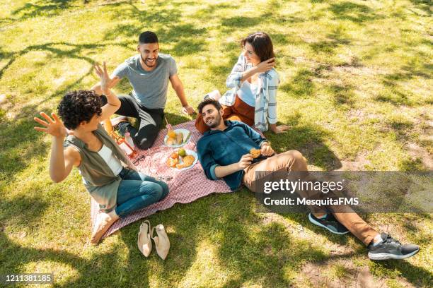 amis appréciant un pique-nique sur l’herbe - small group sitting in grass photos et images de collection