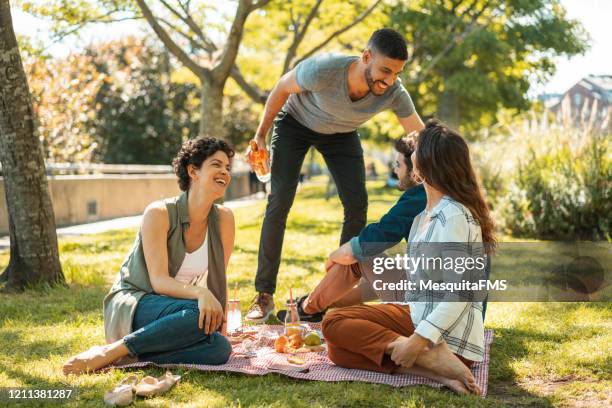 enjoying picnic on sunday - rio grande do sul stock pictures, royalty-free photos & images