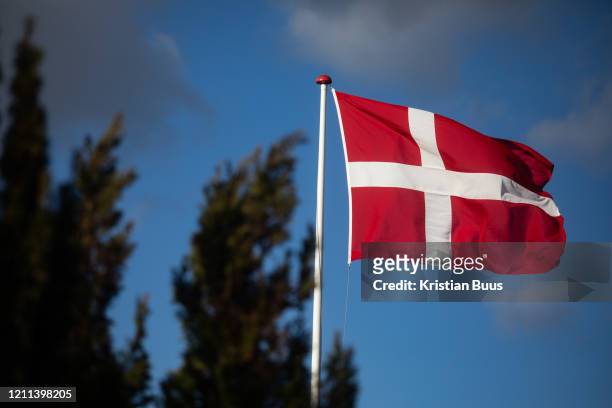 Private homes fly the national flag celebrating the Danish Queen's birthday on April 16th 2020 in Ega, Denmark. Many Danish homes have their own flag...
