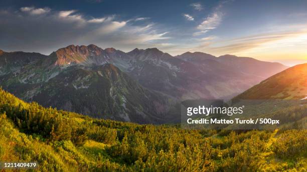 scenic landscape of tatra mountains, sedlo zabra, slovakia - tatra stockfoto's en -beelden