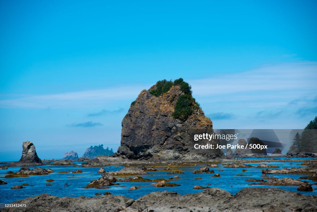 Sea stacks on Pacific Coast in Olympic National Park, Washington State, USA