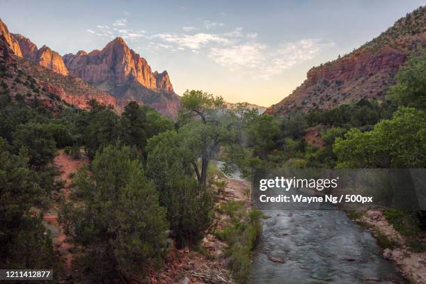 landscape with canyon junction and the watchman monolith in zion national park, toquerville, utah, usa - virgin river stockfoto's en -beelden