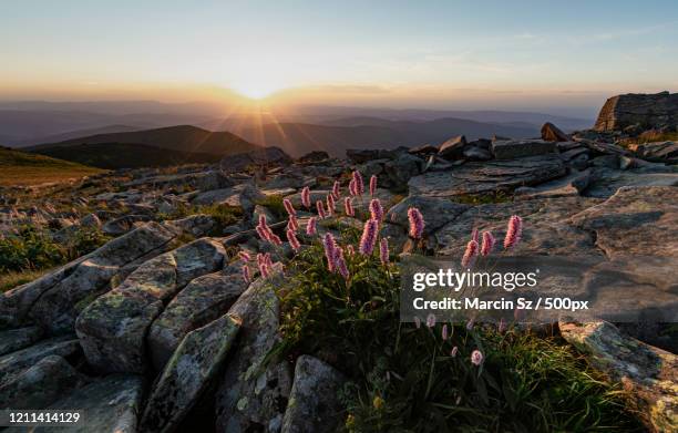 sunset seen from babia gora mountain, beskids, poland - babia góra mountain stock pictures, royalty-free photos & images