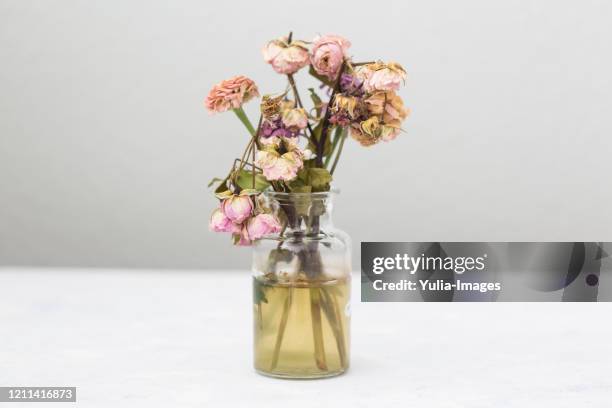 dying bouquet of flowers in a vase - verwelkt stock-fotos und bilder