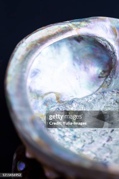 close up on colorful clam shell - shell texture stock pictures, royalty-free photos & images