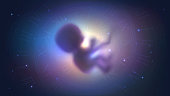 Human embryo in space, time