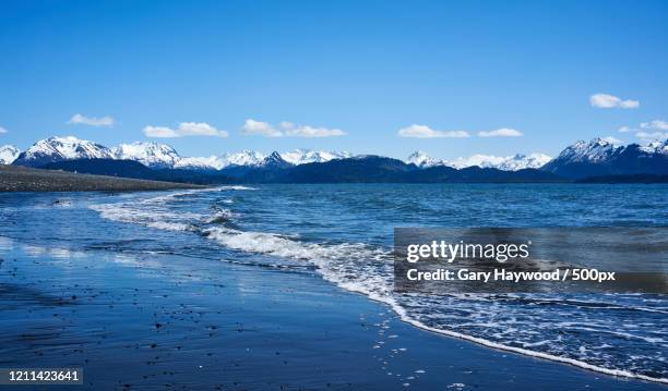 sunny day on beach, homer, alaska, usa - alaska coastline stock pictures, royalty-free photos & images