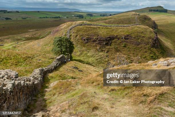 northumberland, england, uk. 22 august 2005. view of hadrian's wall near vindolanda, hexham. - hexham fotografías e imágenes de stock