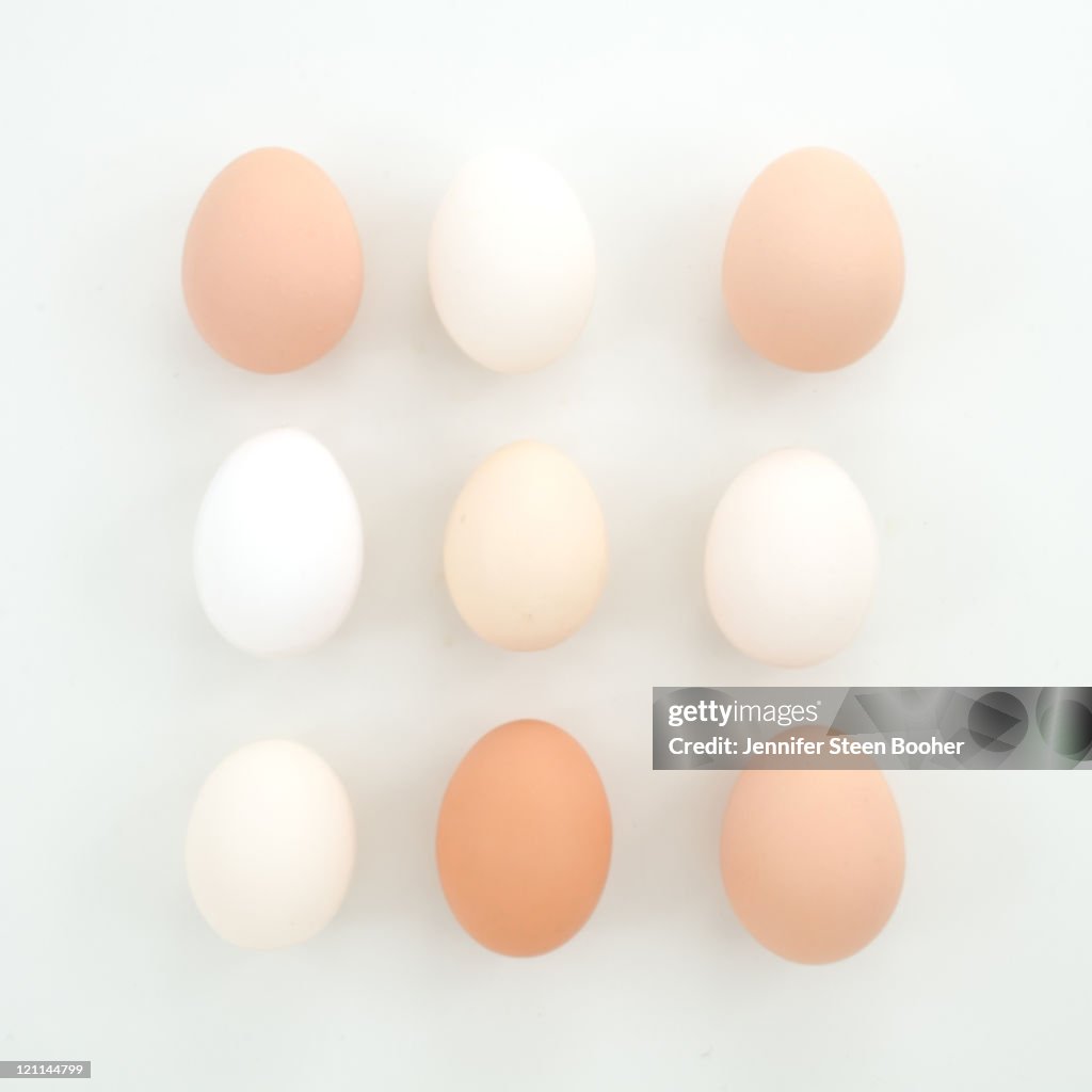 Organic chicken eggs