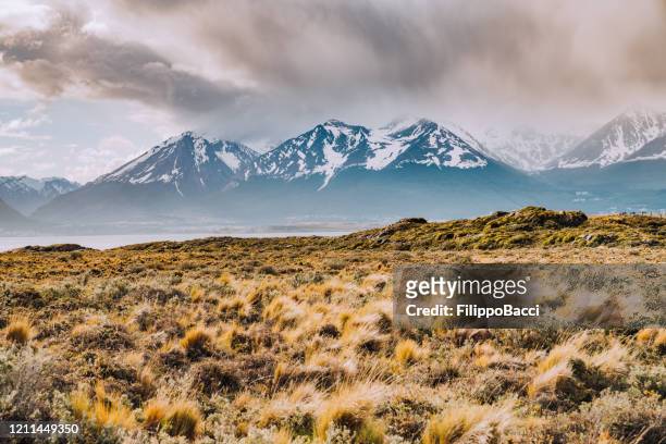 patagonian landscape near tierra del fuego - isla bridges - semi arid stock pictures, royalty-free photos & images