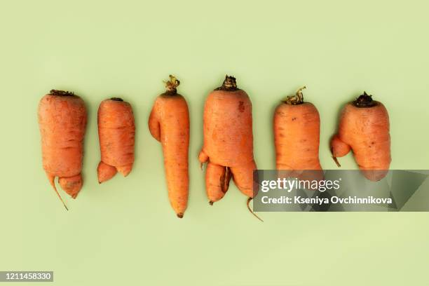 farm fresh ugly carrots bent and twisted - kromme stock-fotos und bilder