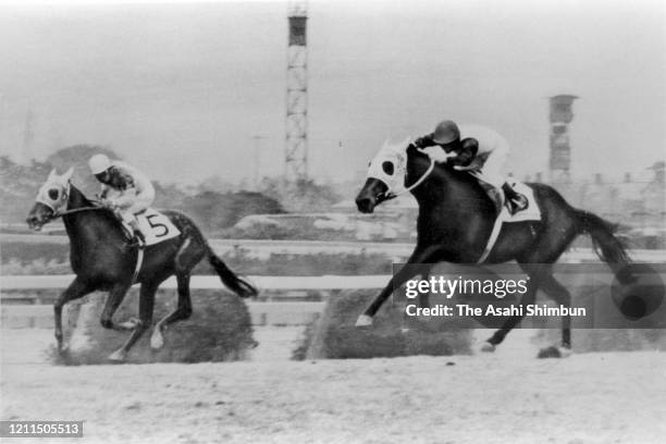 Jockey Sueo Masuzawa riding Haiseiko runs to win the Yayoi Sho at Nakayama Racecourse on March 4, 1973 in Funabashi, Chiba, Japan.