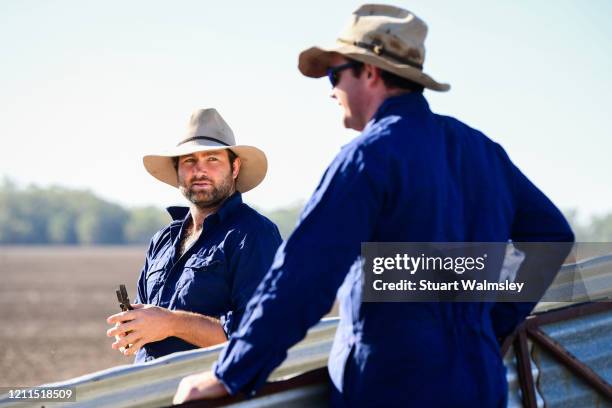 farmers load sheep - farmers australia bildbanksfoton och bilder