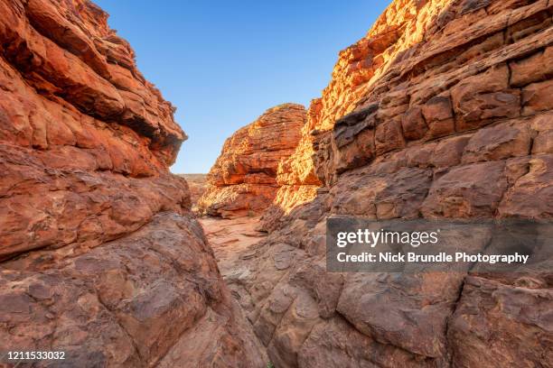 kings canyon, northern territory, australia - kings canyon fotografías e imágenes de stock