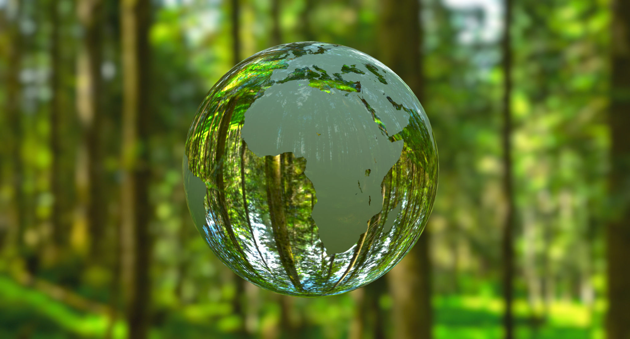 conservation africa