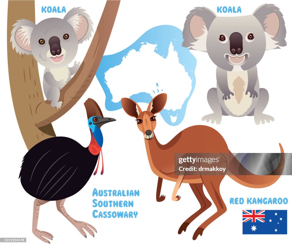 Animals living in Australia