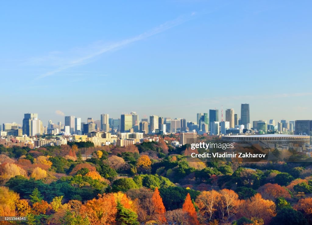 Tokyo Downtown skyline
