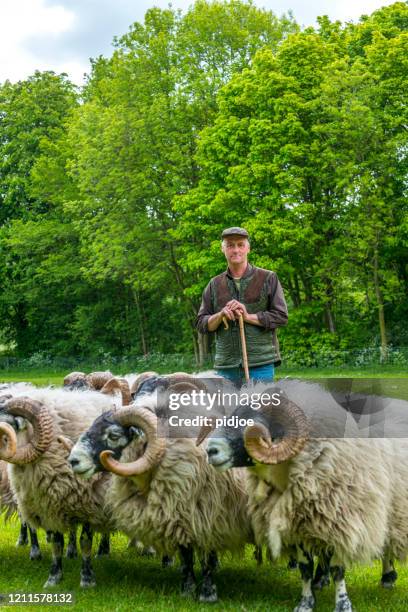 shepherd leaning on his staff - shepherd stock pictures, royalty-free photos & images